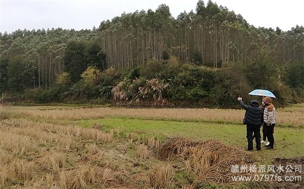 河南陈老师带着爱徒寻龙点穴